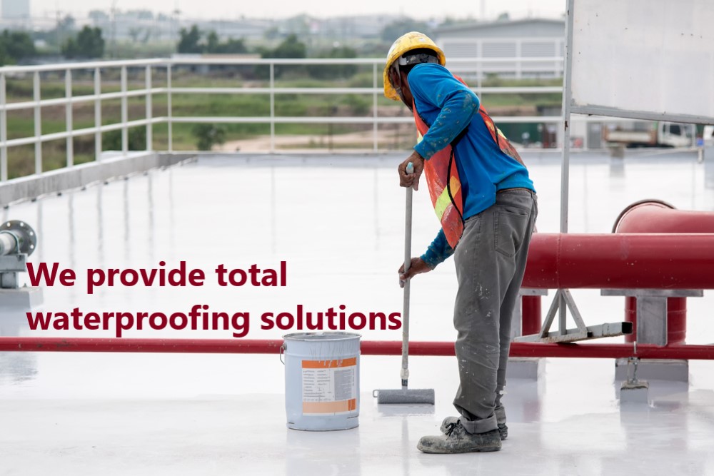 Painting and Waterproofing Services